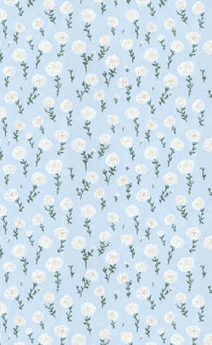 Look Trendy And Stay Cute! Wallpaper