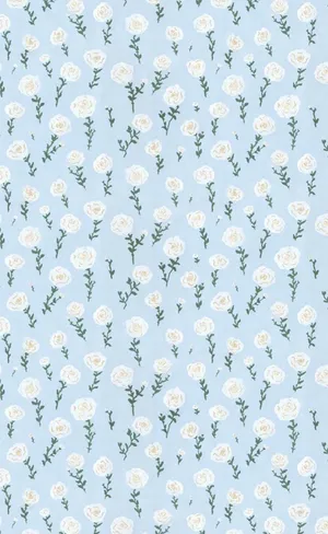 Look Trendy And Stay Cute! Wallpaper