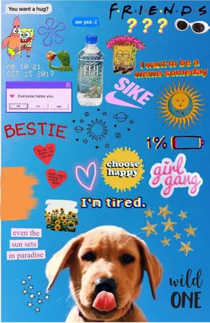 Look Your Best In This Cute Vsco Aesthetic. Wallpaper