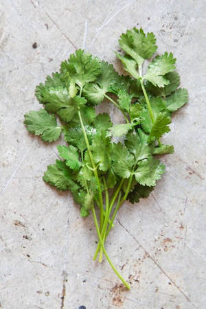 Loose Coriander Herbs High Angle Shot Wallpaper