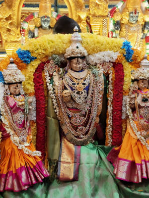 Lord Balaji With Flower Ornaments Wallpaper