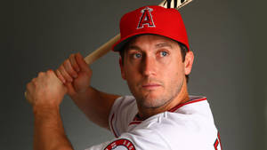 Los Angeles Angels David Freese Head Shot Wallpaper