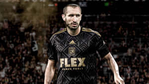 Los Angeles Fc Giorgio Chiellini Digital Art Wallpaper