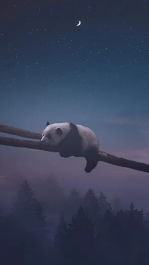Love Alone Panda Wallpaper