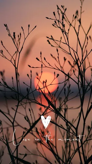 Love In The Moment - Wallpaper Wallpaper