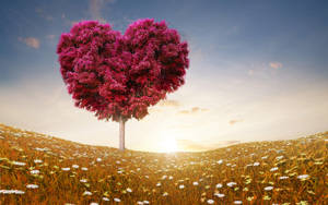 Love Nature Tree Wallpaper