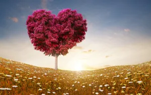 Love Nature Tree Wallpaper