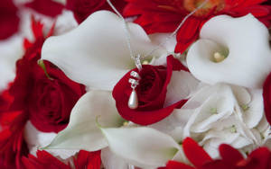 Love Rose Jewelry Wallpaper