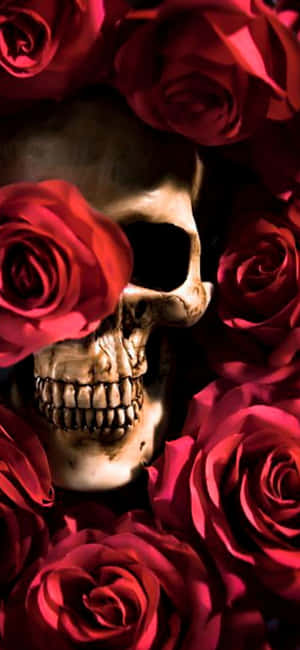 Love Skulls And Roses - An Elegant And Gothic Combination Of Beauty And Danger Wallpaper