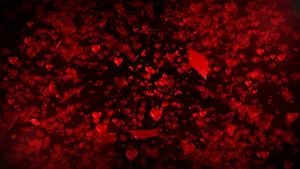 Love With All Of Your Heart Wallpaper