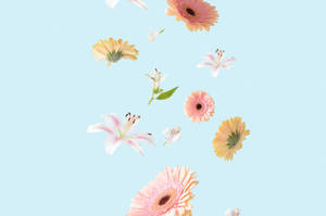 Lovely Aesthetic Spring Iphone Theme Wallpaper