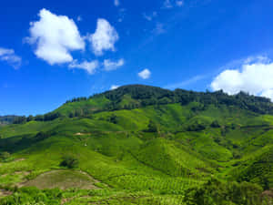 Lovely Hills Clear Skies Wallpaper