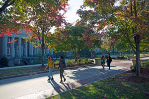 Lovely Trees At University Of North Carolina Greensboro Wallpaper