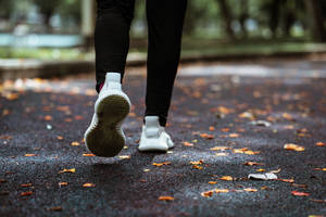 Lower Jogging Empty Park Wallpaper