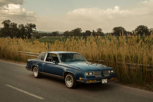 Lowrider Blue Beside Feather Reed Wallpaper