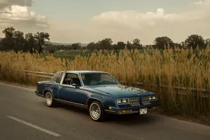 Lowrider Blue Beside Feather Reed Wallpaper