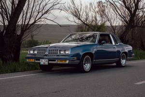 Lowrider Cutlass Near Bare Trees Wallpaper