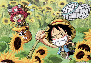 Luffy Funny With Tony Tony Wallpaper