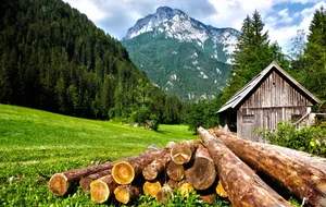 Lush Greenery For Mountain Iphone Themed. Wallpaper