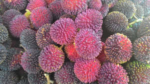 Lush Overripe Pulasan Fruits Wallpaper