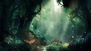 Lush Rainforest Canopy Wallpaper