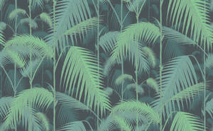 Luxury Destination - Iconic Beverly Hills Hotel, Palm-lined Driveway Wallpaper