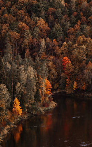 Ma Autumn River Mouth Wallpaper