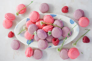 Macarons Pastel Pink Wallpaper