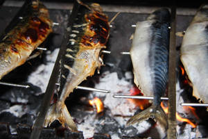 Mackerel Charcoal Grilling Wallpaper