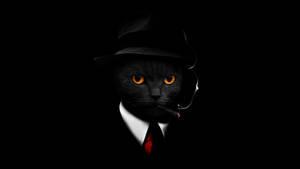 Macos Mojave Cat In A Suit Wallpaper