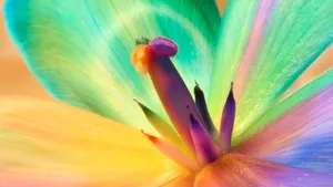 Macro Flower With Neon Petals Wallpaper