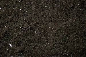 Macro Shot Of Soil Wallpaper