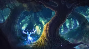 Magic The Gathering Magical Forest Wallpaper