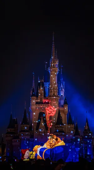 Magical Evening At Disney World Wallpaper