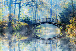 Magical Park Bridge Wallpaper