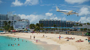 Maho Reef In Sint Maarten Wallpaper