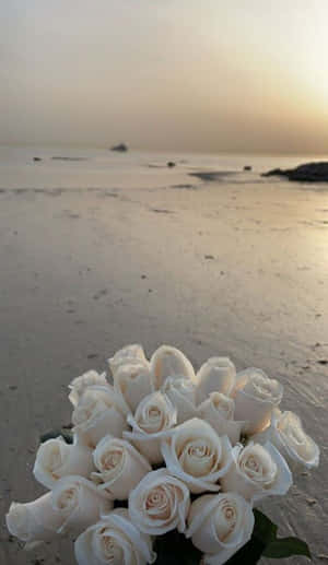Majestic Aesthetic Of A White Rose Wallpaper