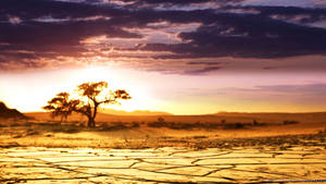 Majestic African Scenery Wallpaper