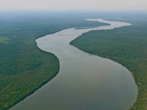 Majestic Amazon River, Heart Of The Amazon Rainforest, Brazil Wallpaper