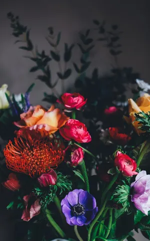 Majestic Beauty Of Dark Hd Flowers Wallpaper