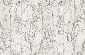 Majestic Black And White Marble Texture Wallpaper