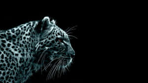 Majestic Black Jaguar Roaming The Lands Wallpaper