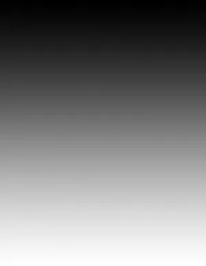 Majestic Black Ombre Nightscape Wallpaper