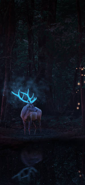 Majestic Deer On The Iphone Wallpaper