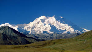 Majestic Denali Towering Above Green Fields Wallpaper