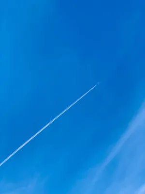 Majestic Flight Wallpaper