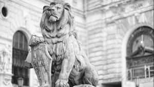 Majestic_ Lion_ Statue_ Black_and_ White Wallpaper