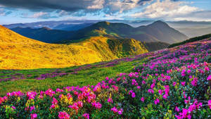 Majestic Mountains As Far As The Eye Can See. Wallpaper