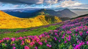 Majestic Mountains As Far As The Eye Can See. Wallpaper