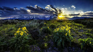 Majestic Rocky Mountains In Grand Teton National Park Wallpaper